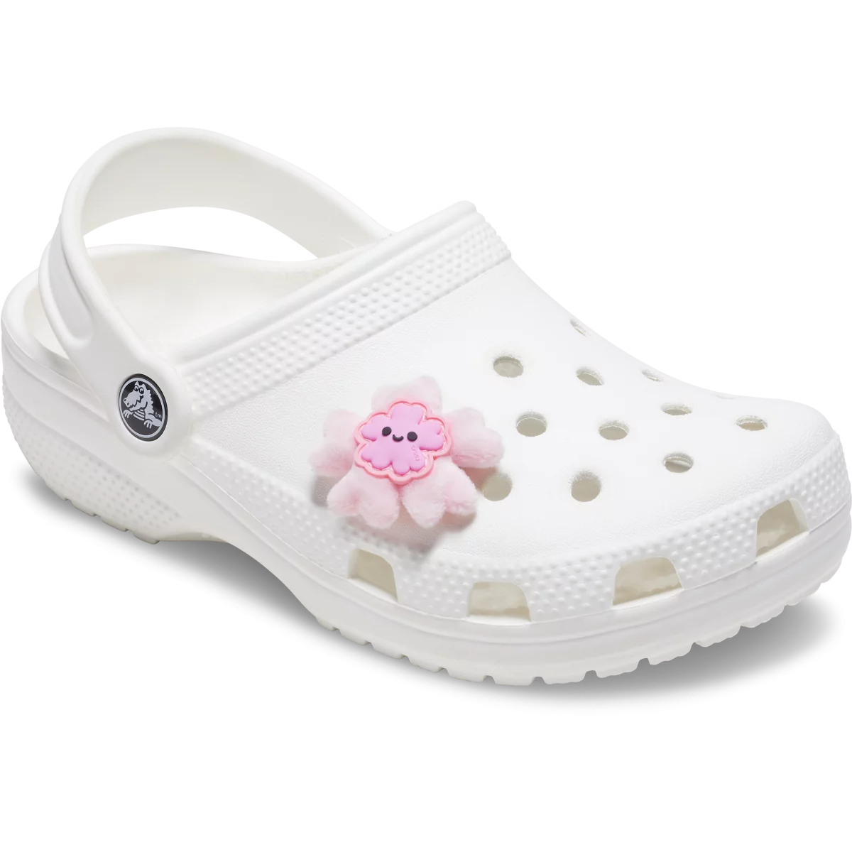 shoe img
